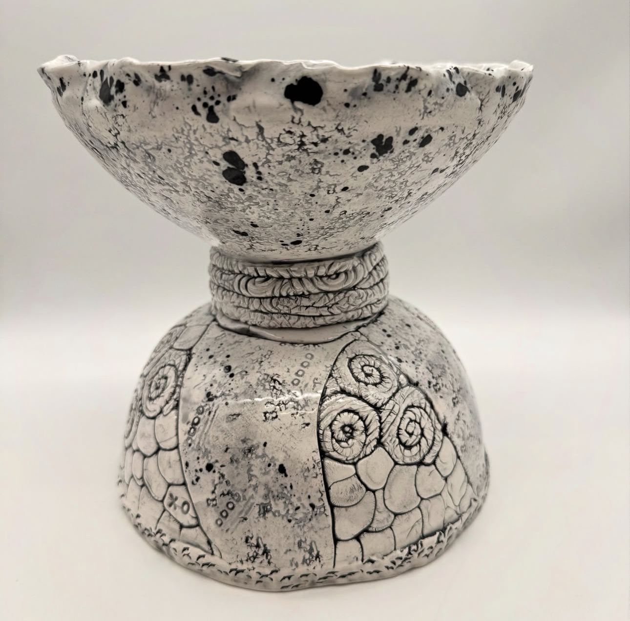 Dalmatian Nation - Image 3