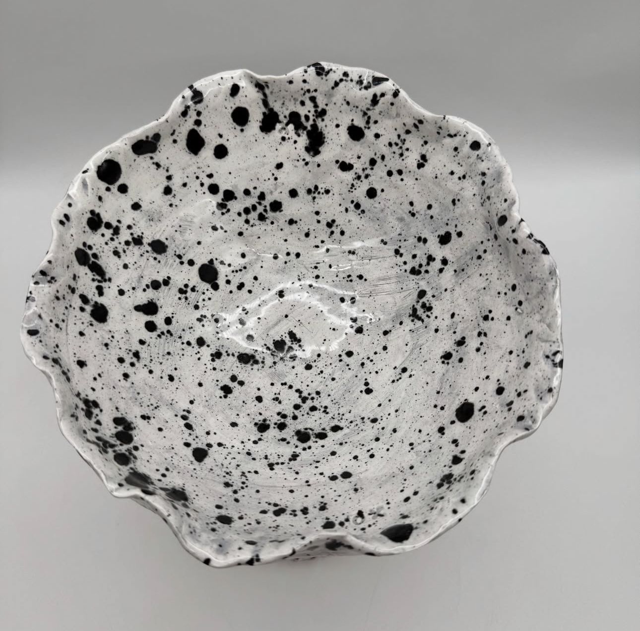 Dalmatian Nation - Image 4