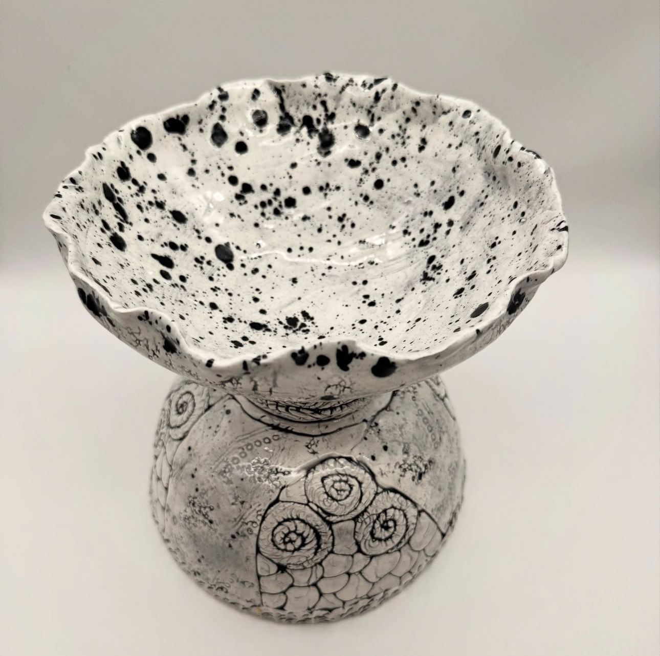 Dalmatian Nation - Image 6