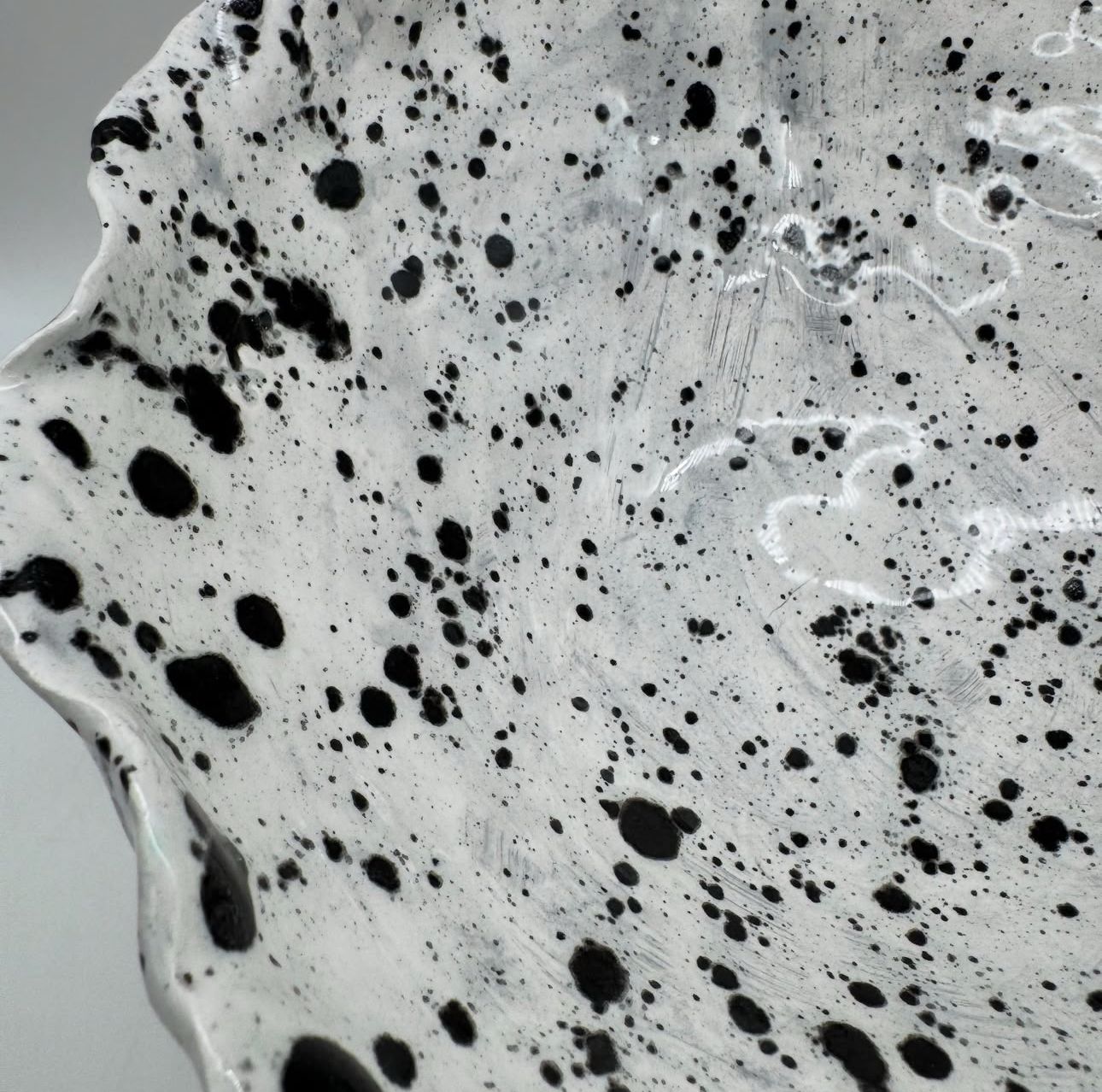 Dalmatian Nation - Image 7